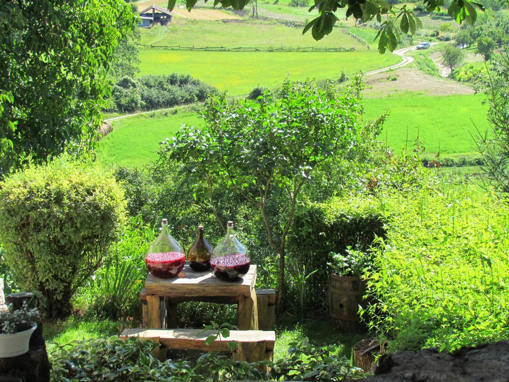 Summerhouse Beram Pazin Εξωτερικό φωτογραφία